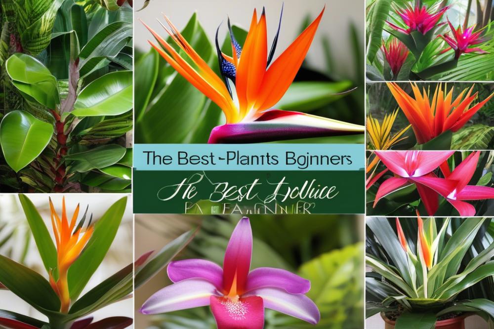 top-10-exotic-plants-perfect-for-beginner-gardener