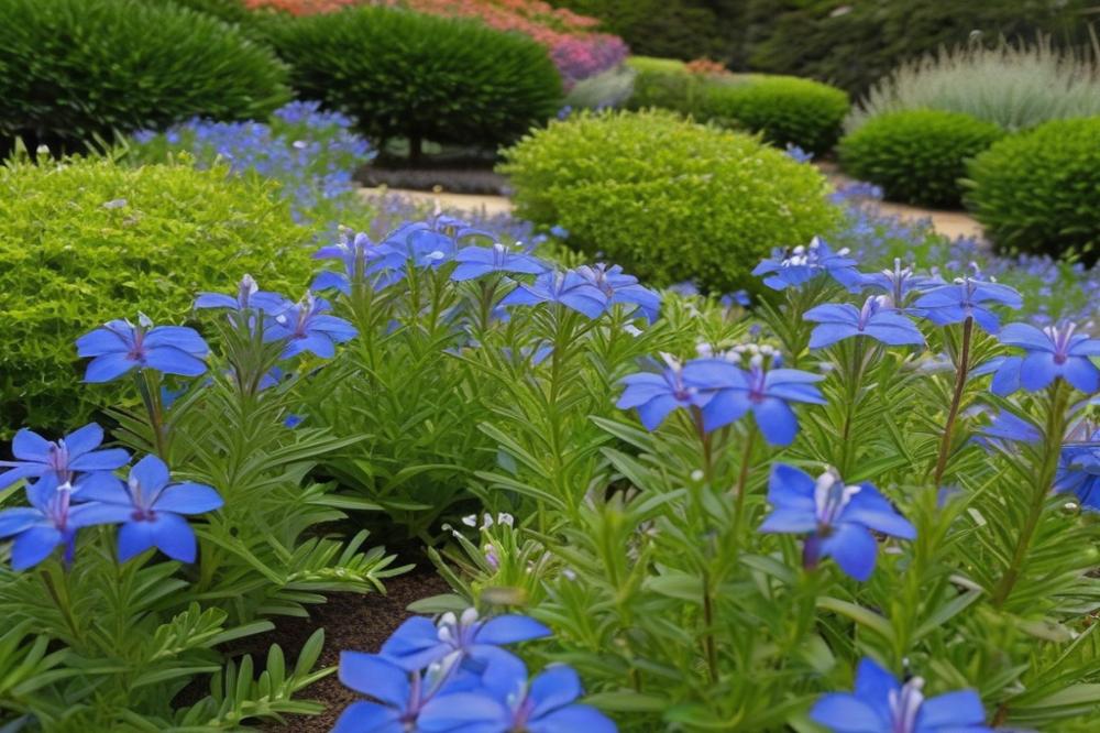 ultimate-guide-to-growing-and-caring-for-lithodora